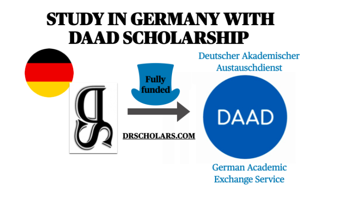 Fully Funded Undergraduate Scholarships 2024 [UPDATED] - DR SCHOLARS