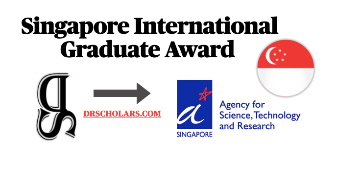 Singapore-International-Graduate-Award-drscholars