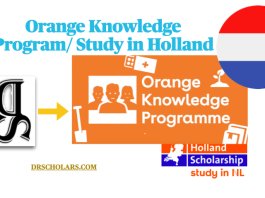 Orange Knowledge Program 2023-2024 / Study in Netherlands Orange-Knowledge-Program-in-Netherlands-OKP-drscholars