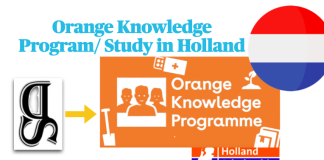 Orange Knowledge Program 2023-2024 / Study in Netherlands Orange-Knowledge-Program-in-Netherlands-OKP-drscholars