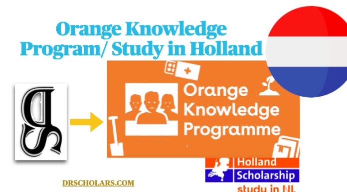 Orange Knowledge Program 2023-2024 / Study in Netherlands Orange-Knowledge-Program-in-Netherlands-OKP-drscholars