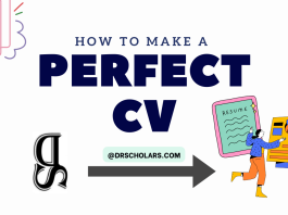 How To Make a Perfect CV how-to-make-a-perfect-CV-drscholars