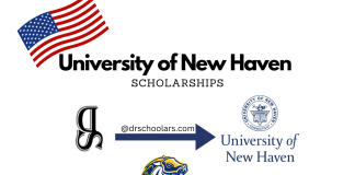 University of New Haven Scholarships in USA University-of-New-Haven-Scholarships-drscholars