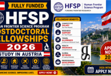 Human Frontier Science Program Postdoctoral Fellowships 2026/ Study In Austria human-frontier-science-program-postdoctoral-fellowships-2026-study-in-austria-drscholars